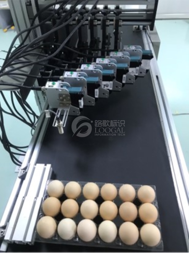 1629962947440OUt8l-wYQ1uiXh1-vhzWhw 1629962947440OUt8l-wYQ1uiXh1-vhzWhw